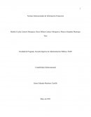 INFORME EJECUTIVO SOBRE LAS NIIF