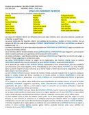 VENAS DEL MIEMBRO INFERIOR