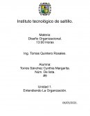 Unidad 1 diseño organizacional