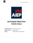 ACTIVIDAD PRACTICA COCA-COLA