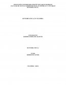 REVISORÍA FISCAL EN COLOMBIA