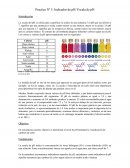 Practica Nº 5: Indicador de pH/ Escala de pH