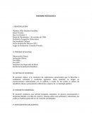 Observación Clínica. Entrevista Clínica. Test PBLL. Test HTP