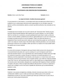 PSICOTERAPIA CON ORIENTACION PSICODINAMICA. Página 1