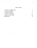 Innovación Empresarial Individual