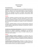 Trabajo Administración. Tipo de organizaciones