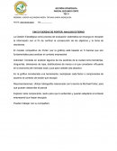 CINCO FUERZAS DE PORTER: ANALISIS EXTERNO