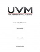 Microeconomía. Solución de caso CFE