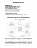 ANALISIS GRUPAL: FUNCIONES DEL SISTEMA DE SUMINISTRO