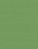 QUÉ PIENSA O SIENTE