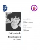 Evidencias de la investigación