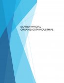 Organizacion Industrial