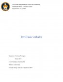 Discusión bibliográfica Perífrasis verbal