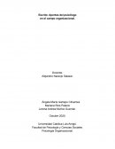 Aportes del psicólogo en el campo organizacional