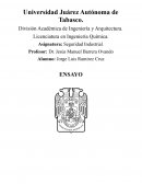 ¿Quién protege a los trabajadores en México?