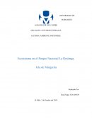 Ecosistema en el Parque Nacional La Restinga, Isla de Margarita