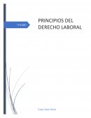 INFORME TECNICO DE ACCIDENTES DEL TRABAJO