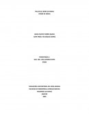 PLAN DE CIERRE Y ABANDONO DE UNA MINA A CIELO ABIERTO