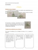 Área: Matemática _Triángulos_