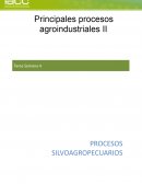 Principales procesos agroindustriales