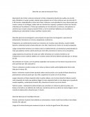 Clase de Educación física