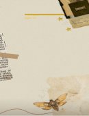 Principales conflictos del siglo xx