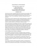 Ensayo película intensamente