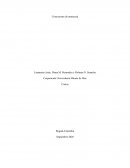 Costo postre de maracuyá