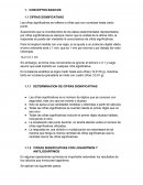 CONCEPTOS BASICOS CIFRAS SIGNIFICATIVAS