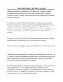 CASO ELECTRONICA Y SISTEMAS S.A. (ESSA)