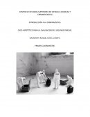 CASO HIPOTÉTICO PARA LA EVALUACION DEL SEGUNDO PARCIAL.
