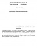 Informe final docente