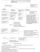Peripecia y anagnórisis (poética de Aristóteles)