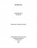 Los efectos medioambientales