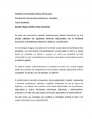 Auditoría. METAL S.A