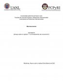 Ensayo sobre el capítulo 1 “Los fundamentos de la economía”
