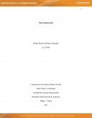 ENSAYO ETICA EMPRESARIAL