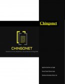 Análisis del plan de negocio de “Chingonet”: In nuevo proveedor de internet en México