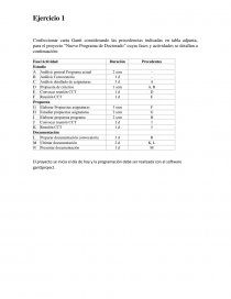 Confeccionar carta Gantt. Página 1