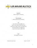 Análisis organizacional de una empresa