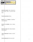 Unidad III Macromoléculas naturales