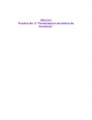 Practica No. 5 “Fermentación alcohólica de levaduras”