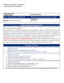 Perfil de Trabajo PROYECTISTA