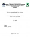 LAS ECORREGIONES VENEZOLANAS Y SUS PROBLEMAS