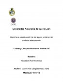 Reporte de Identificación de las figuras jurídicas