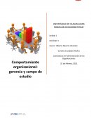 Elementos del Comportamiento organizacional