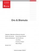 Tarea 2 Analisis - Oro & Bismuto