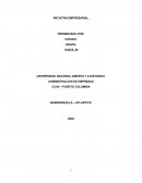 INICIATIVA EMPRESARIAL