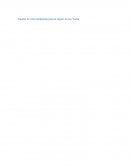 Diseño de mini hidráulicas para la región de los Tuxtla