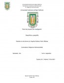 Geopolítica y geografía